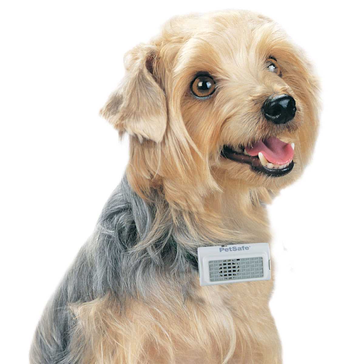 Ultrasonic Bark Control Collar C4179