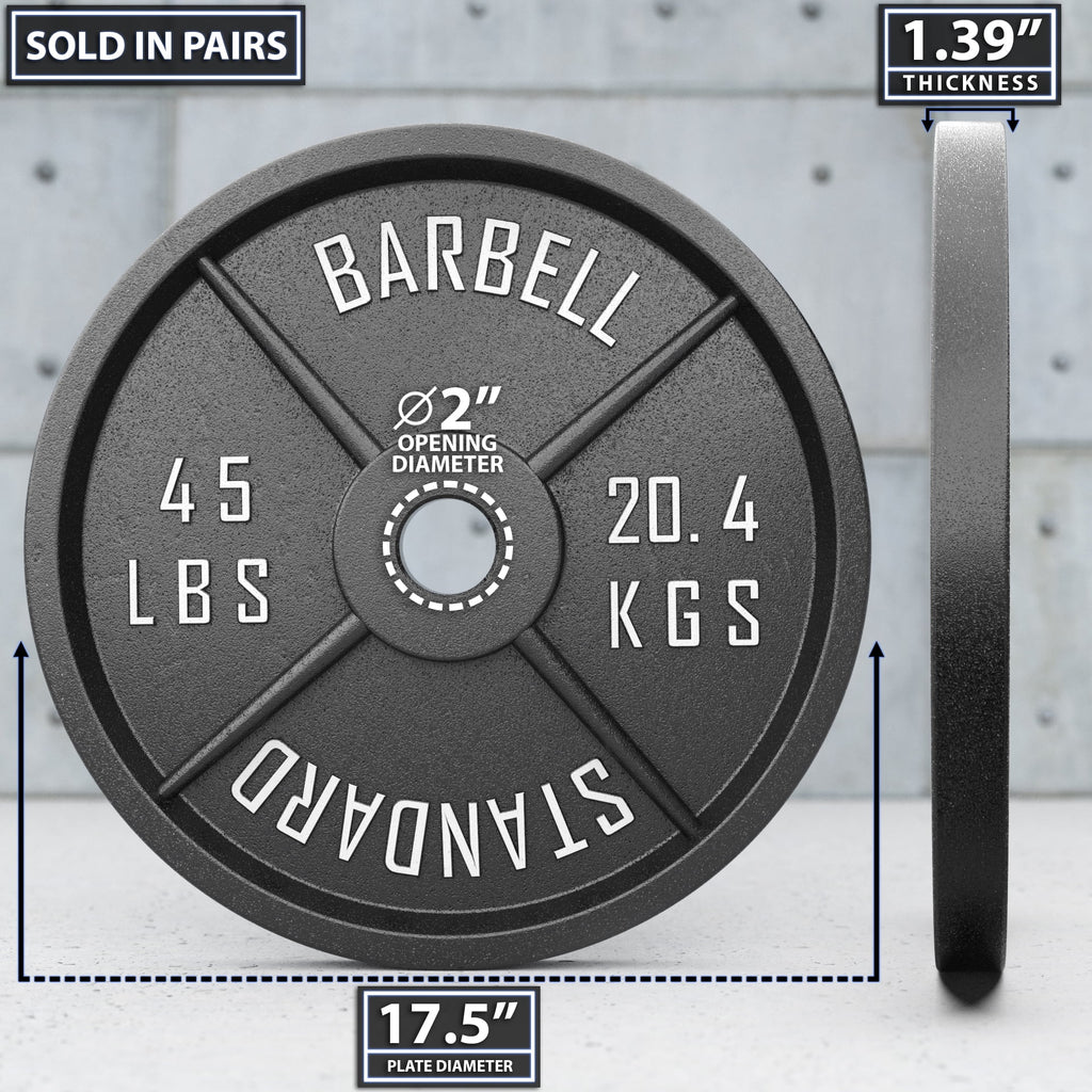45 lb Pair Metal Weight Plates P8264