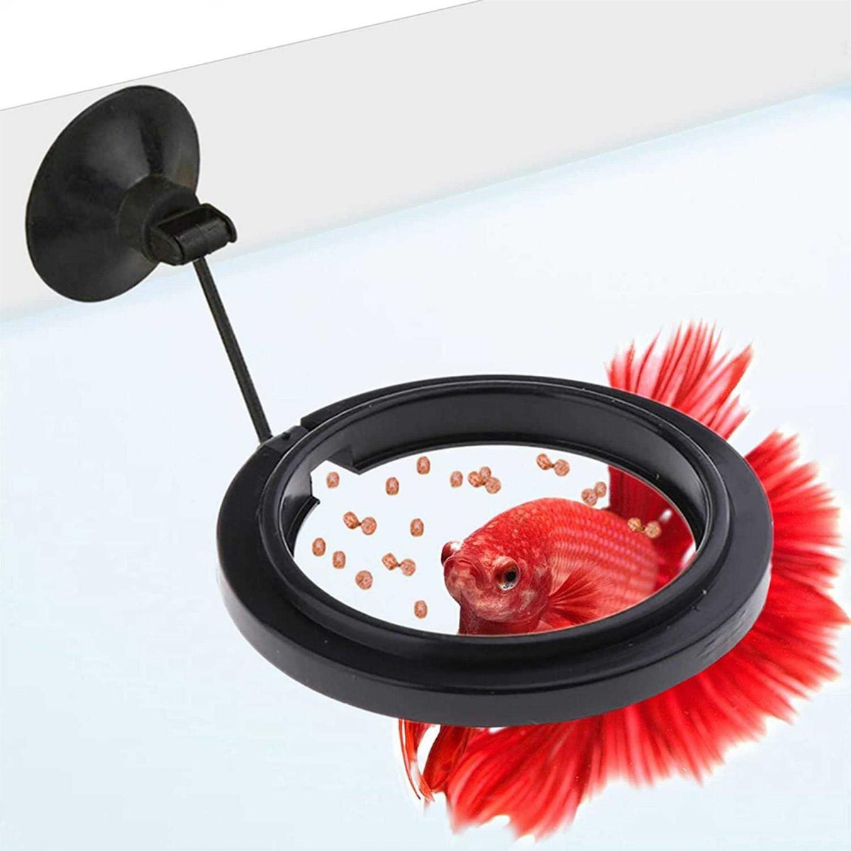 Betta & Goldfish Food Pellets & Flakes Fish Feeding Ring R5029