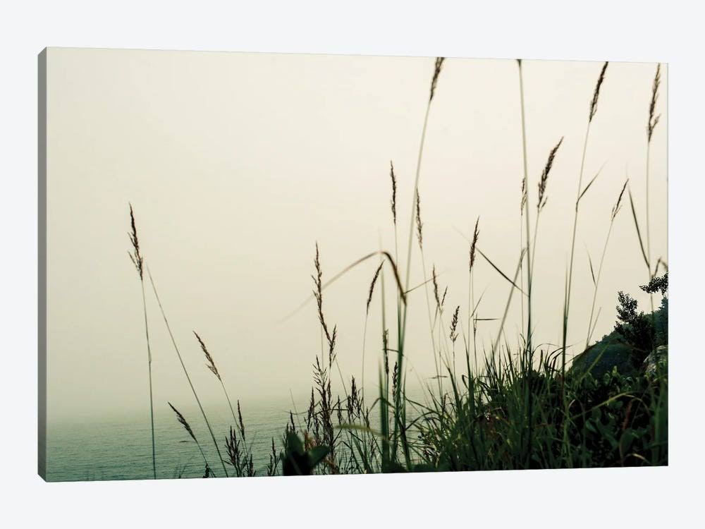 Canvas Prints - Foggy Coast L3512