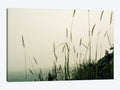 Canvas Prints - Foggy Coast L3512