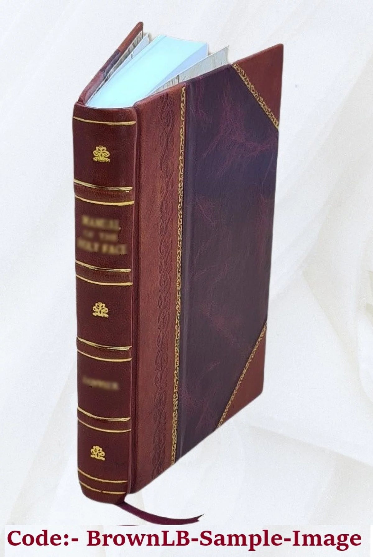 Electric Current Measurement Instruments Leather Bound C4041