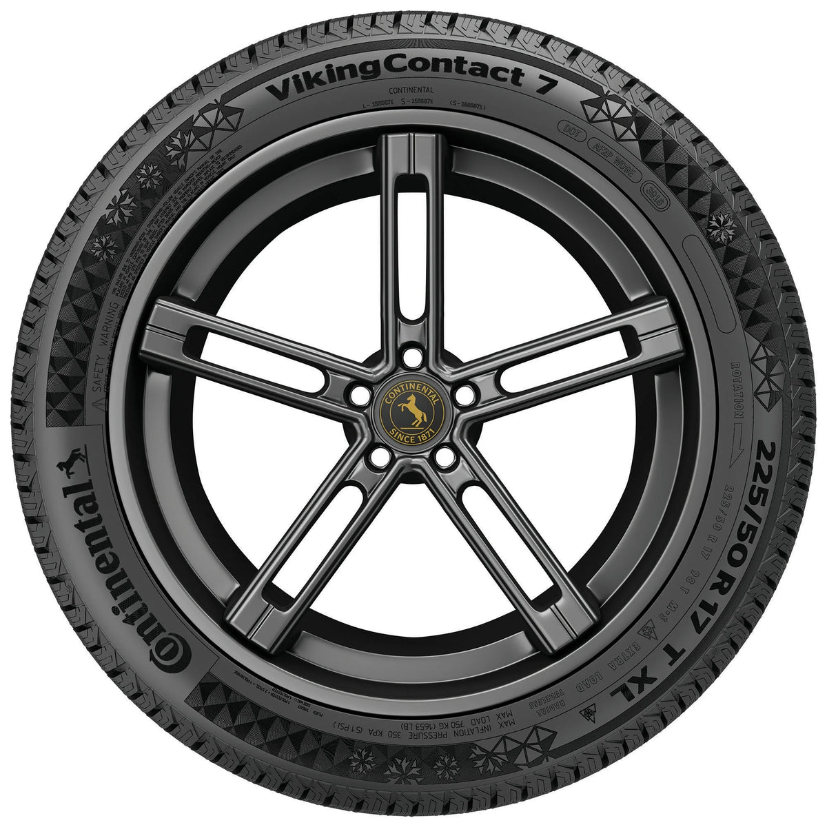Winter Passenger Tire D5556