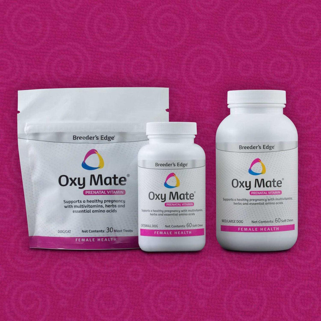 Prenatal Soft Chews Dog K61546