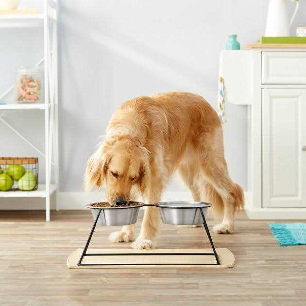 Elevated Dog & Cat Diner S802