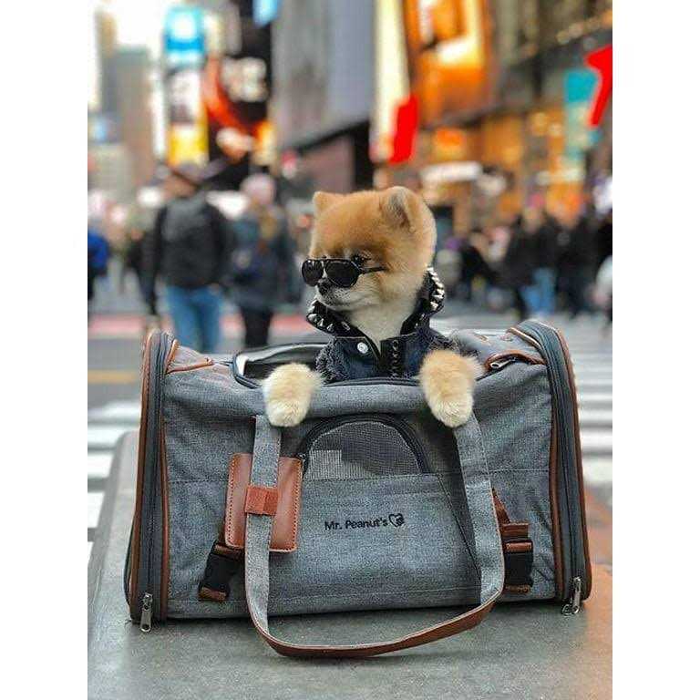 Expandable Airline Approved Pet Carrier B495