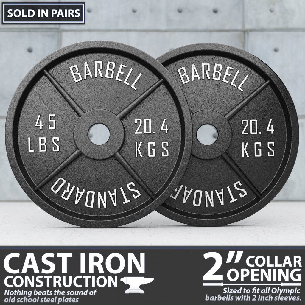 45 lb Pair Metal Weight Plates P8264