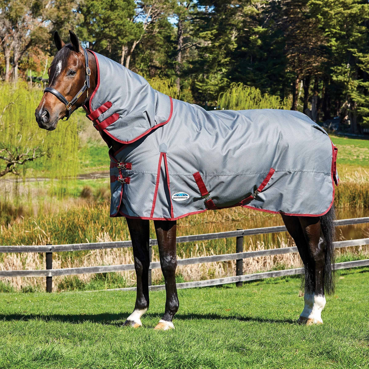 Medium Detach-A-Neck Turnout Blanket R661