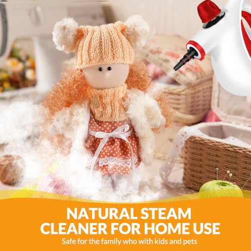Handheld Pressurized Steam Cleaner with 12 pcs Accessories I154218