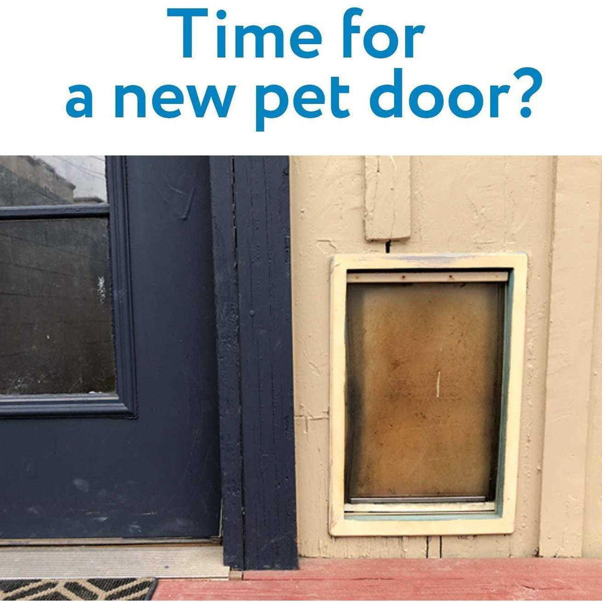 Medium Replacement Dog Door Flap U527646