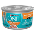 Wet Cat Food A956496