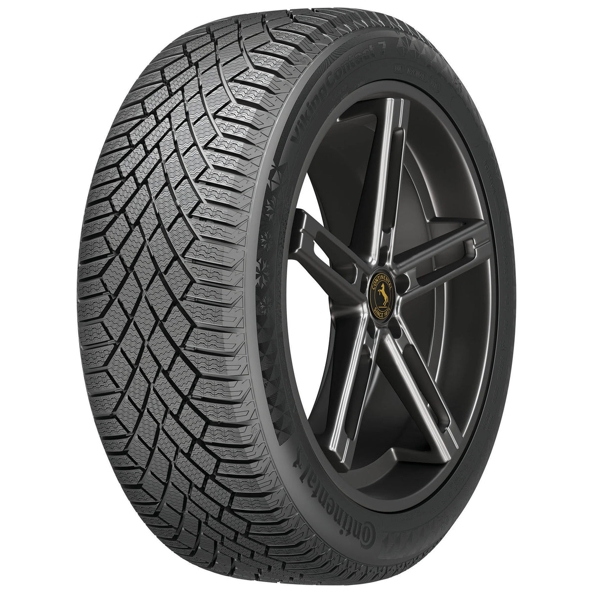 Winter Passenger Tire D5556