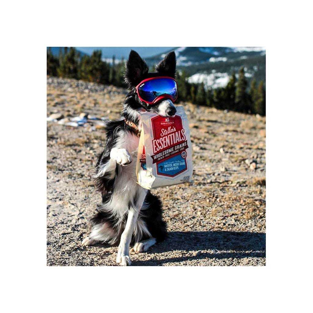 Ancient Grains Recipe Dog Food X6436