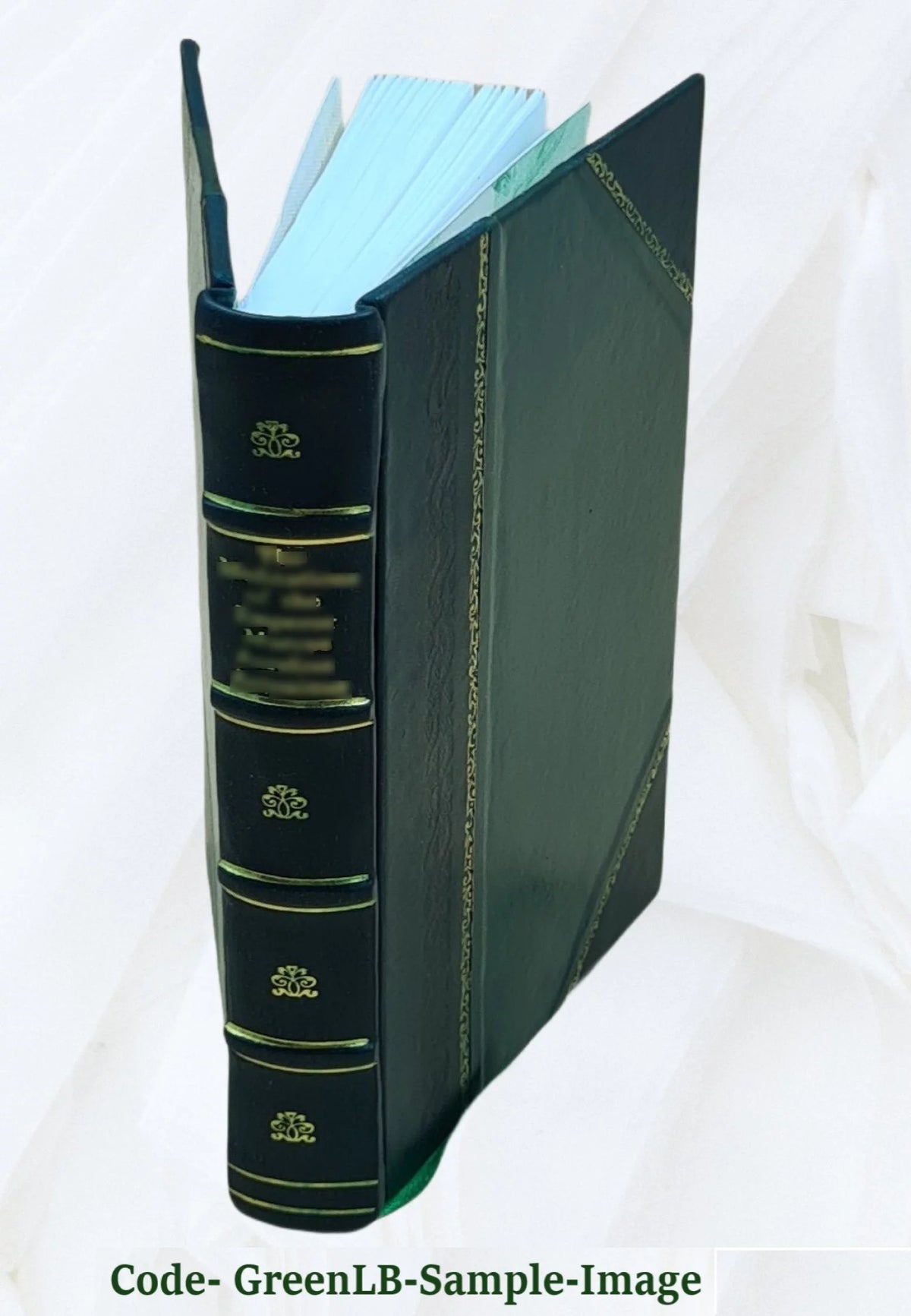 Surface Waters of Massachusetts Leather Bound P907364