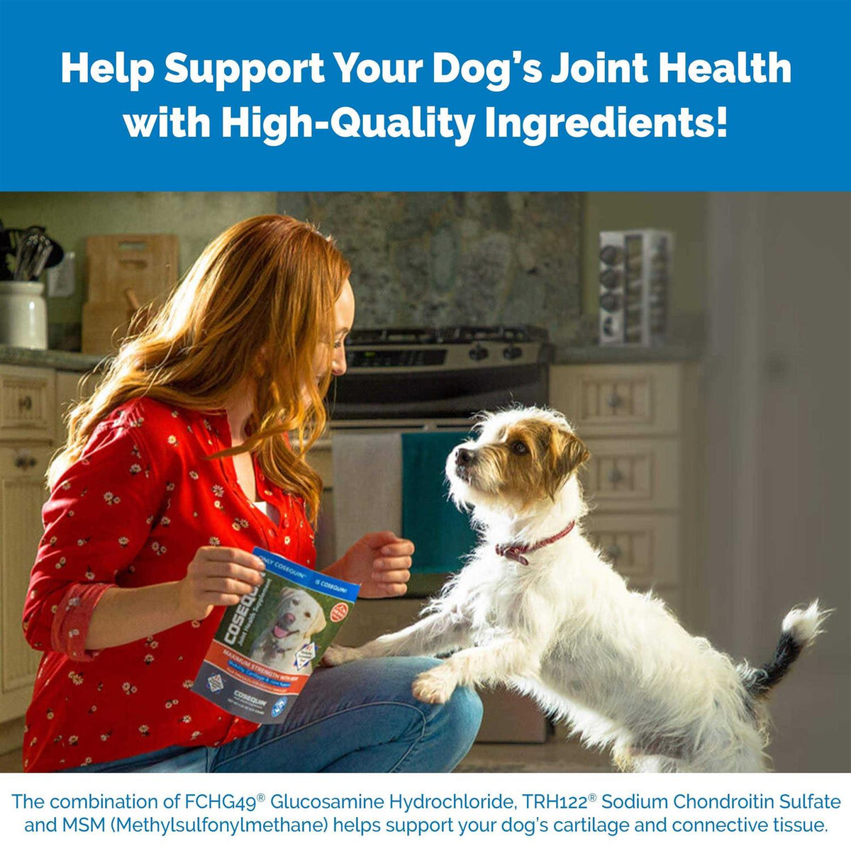 Maximum Strength MSM & HA for Dogs O593357