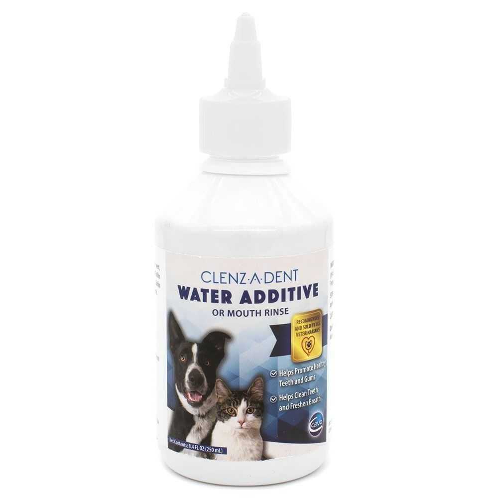 Chlorhexidine Rinse 8oz Bottle Q82372