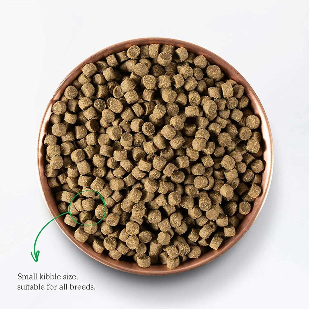Senior Dry Dog Food Z773030