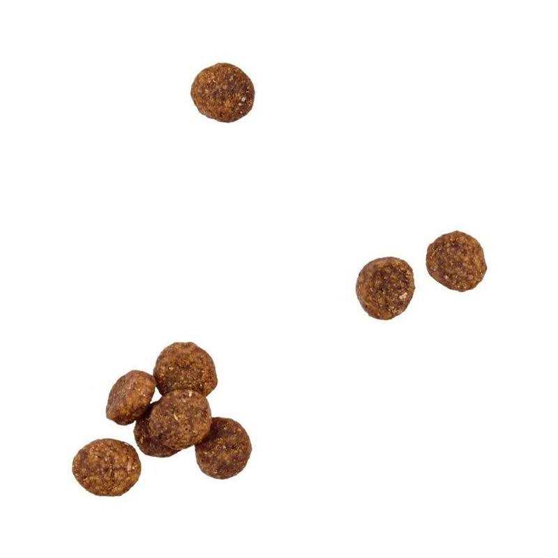Grain Free Chicken and Pea Recipe Dry Puppy Food R827197