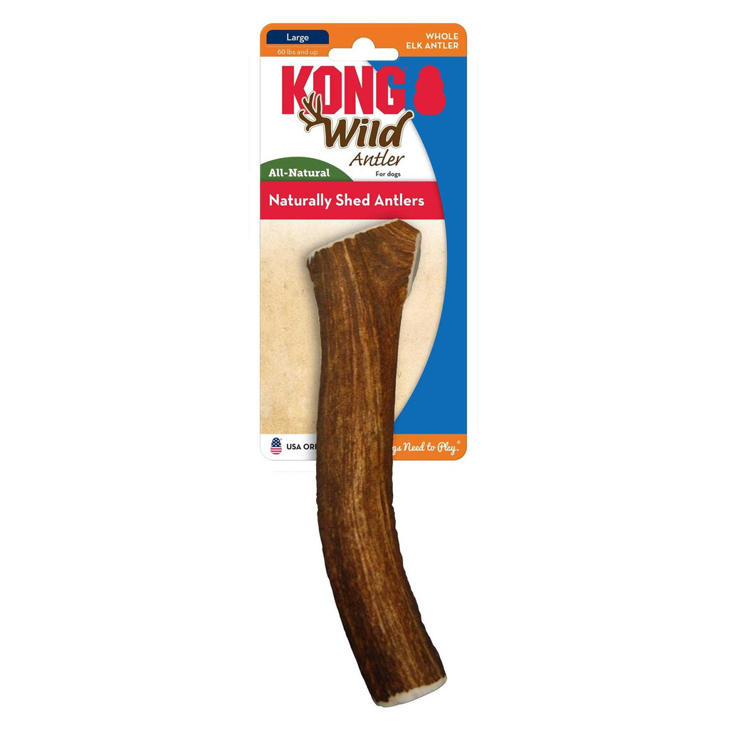 Whole Wild Elk Antler W5840
