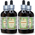 Organic Dried Rosehips Glycerite Alcohol-Free Liquid Extract 4x4 fl.oz W140959