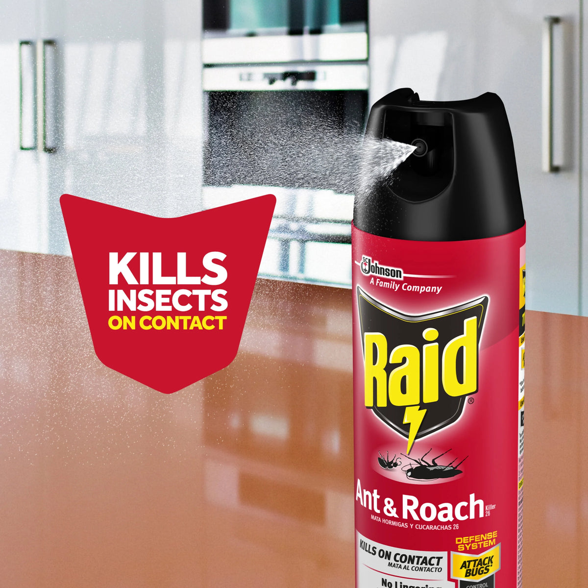 Ant and Roach Killer Spray 17.5 oz 2 Count P9011