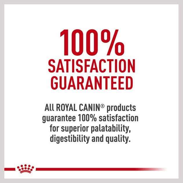 Adult Dry Dog Food O123